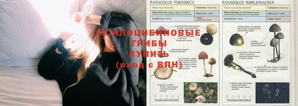 2c-b Зеленокумск